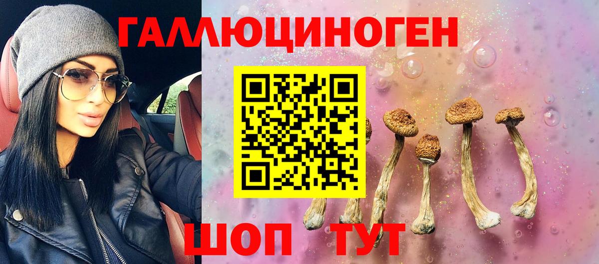Псилоцибиновые грибы ЛСД  Вход с VPN  купить  цена  Галлюциногенные грибы ЛСД  Магадан 